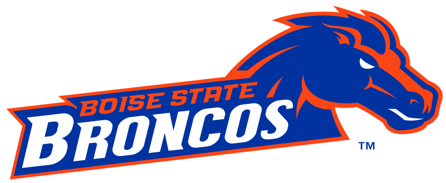 Boise State Broncos 2012-2013 Secondary Logo v3 diy iron on heat transfer